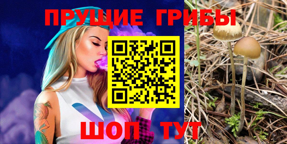 Псилоцибиновые грибы мухоморы Сарапул